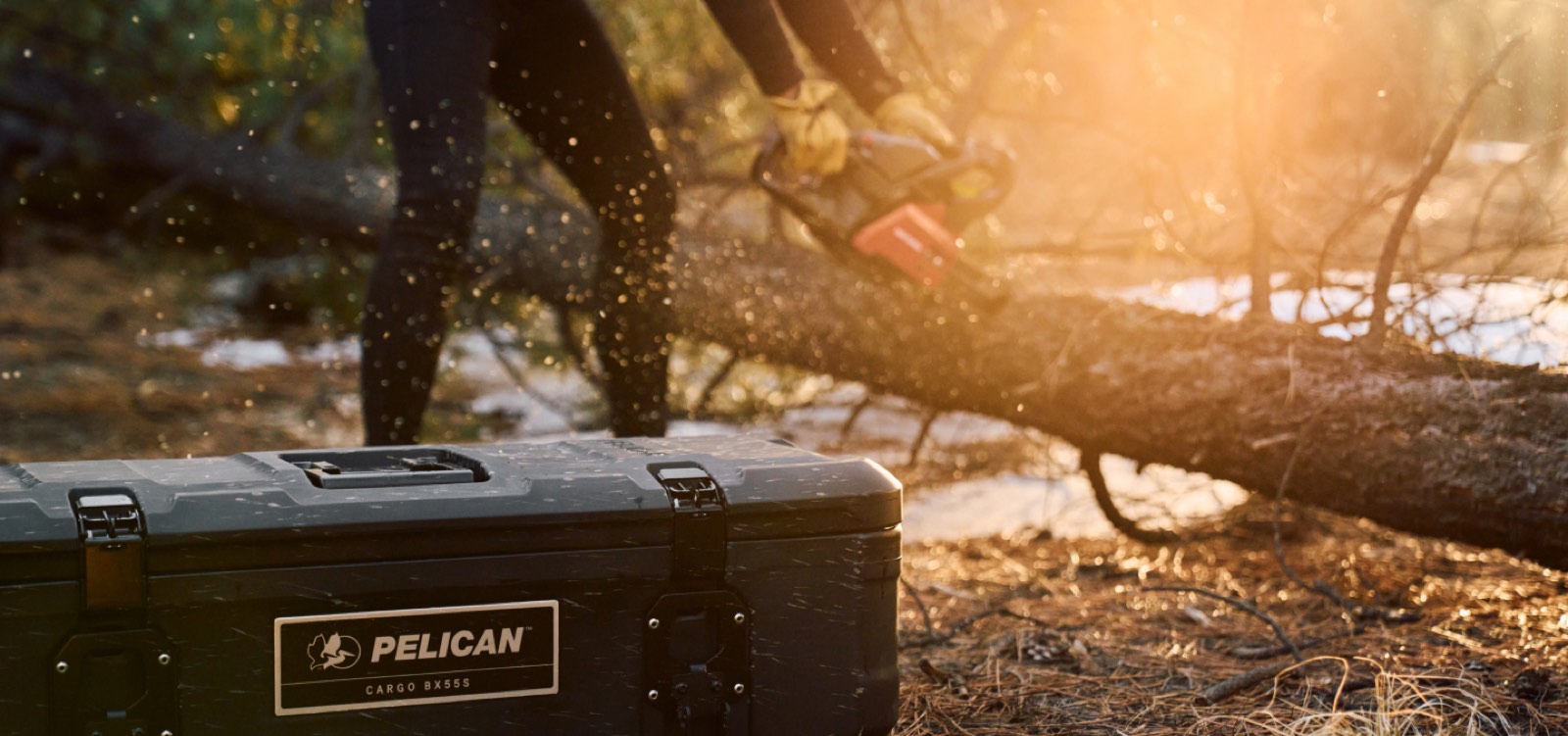 Pelican gear in a rugged field environment